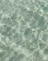 sydneygoldsmithh Altpins Profile Picture