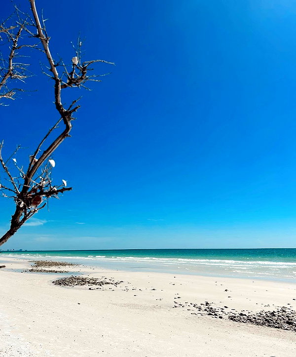 sydneygoldsmithh instagram image archive image