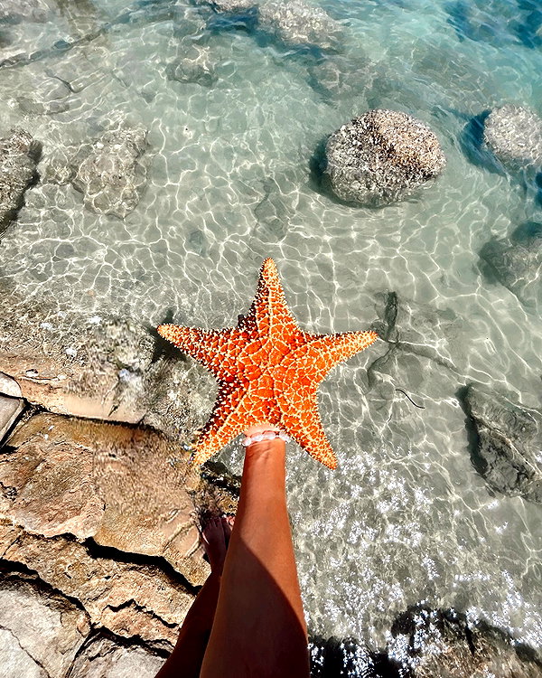 sydneygoldsmithh instagram image archive image