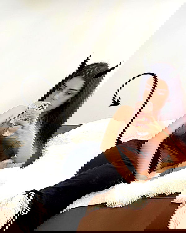 sylunh image ~ Altpins