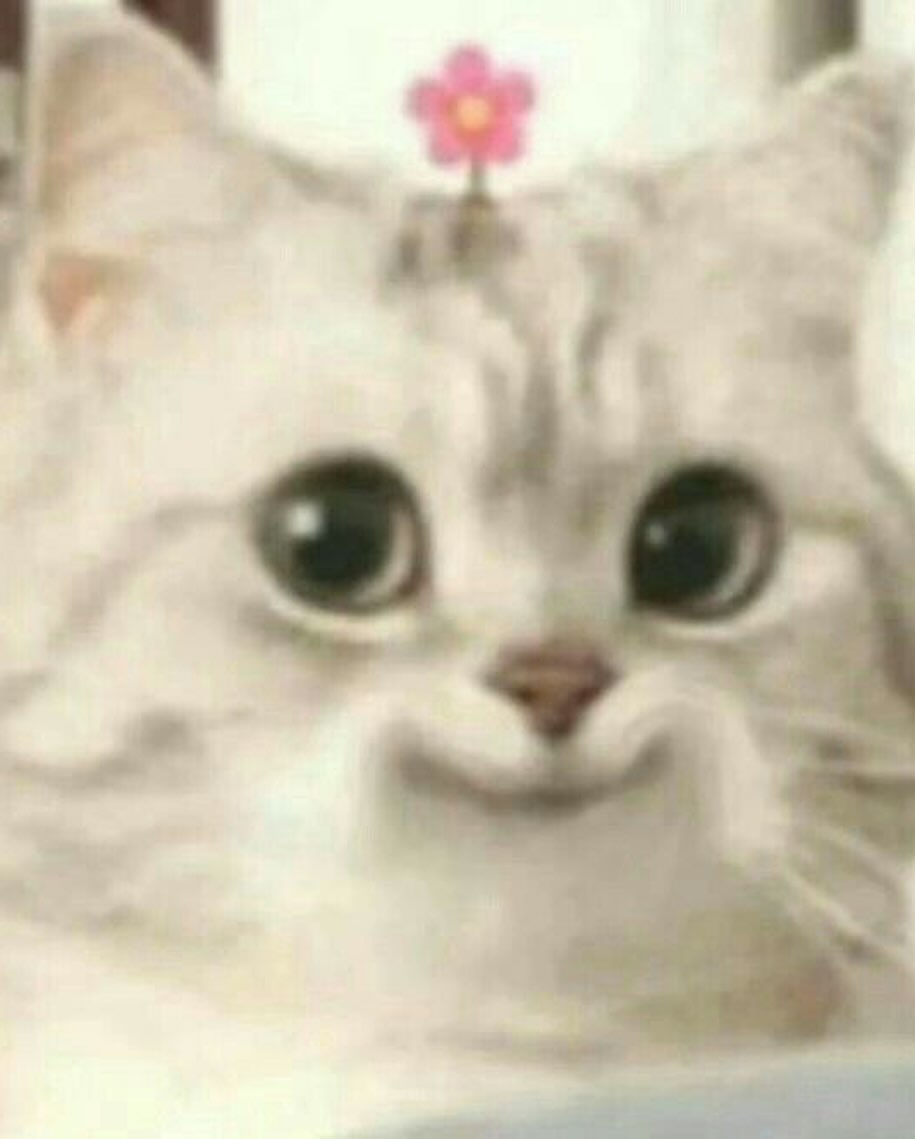 sylunh instagram image archive image