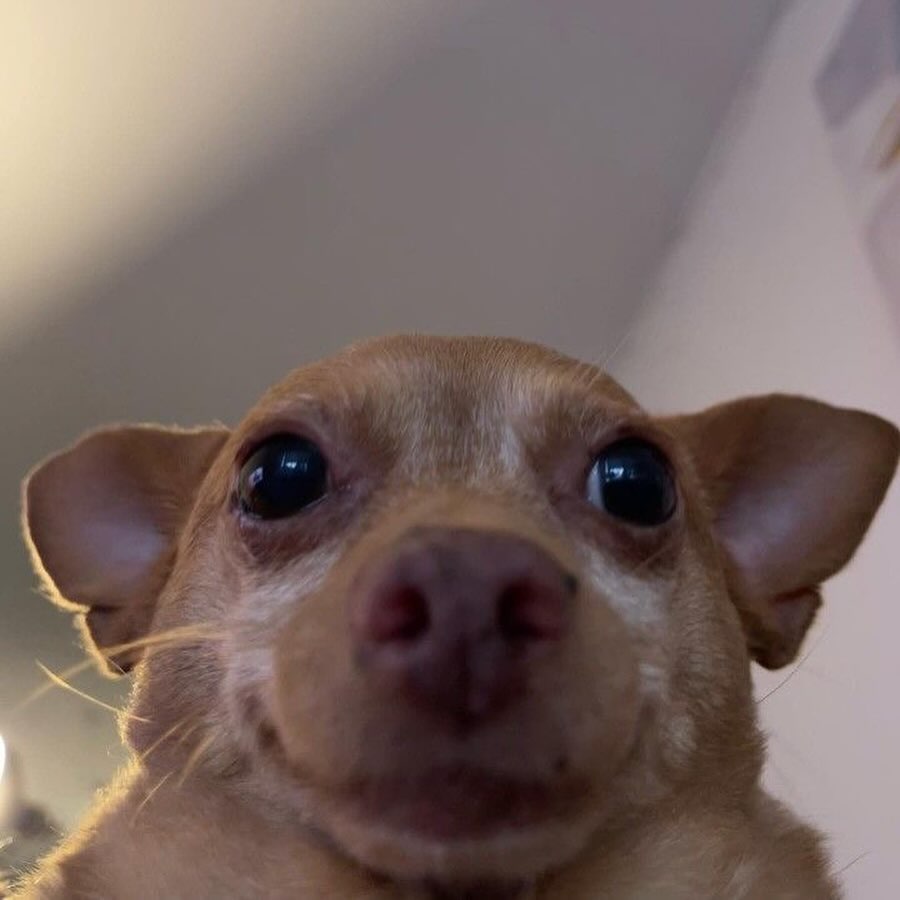 sylunh instagram image archive image