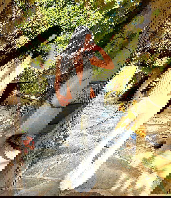 symonery image ~ Altpins