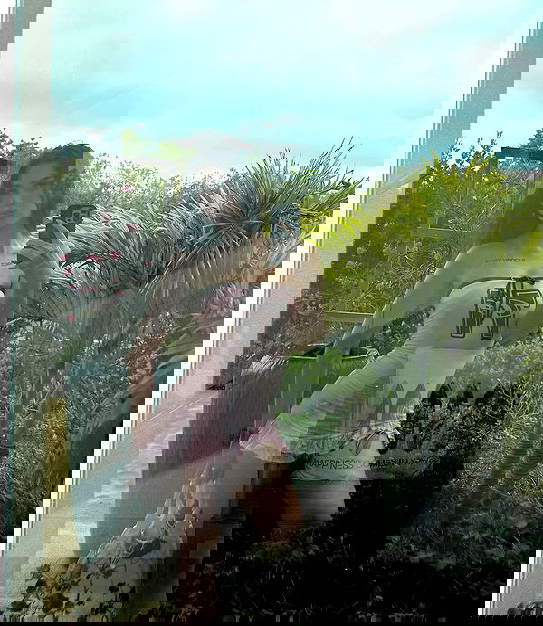 symonery image ~ Altpins