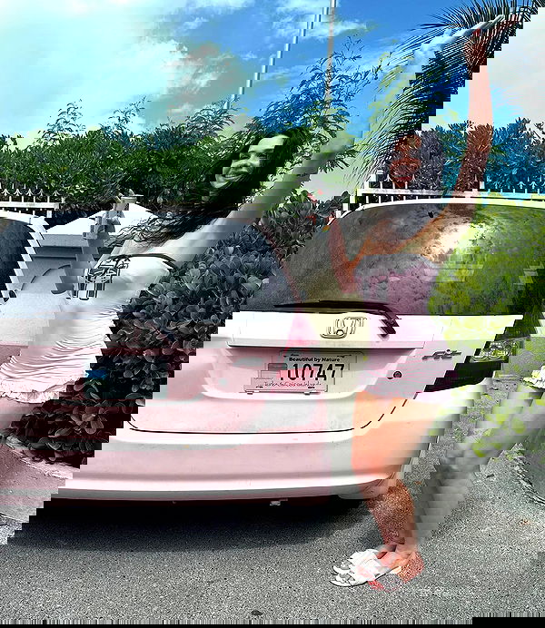 symonery image ~ Altpins