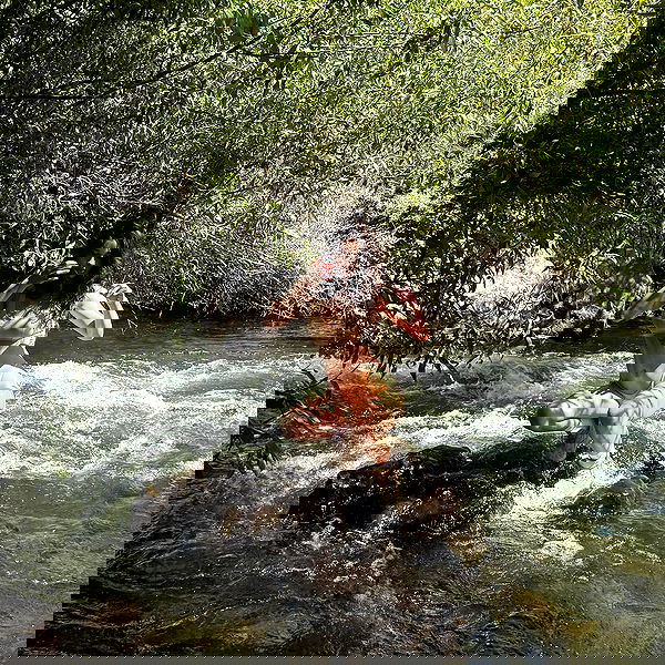 symonery image ~ Altpins