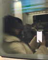 taesroy Altpins Profile Picture