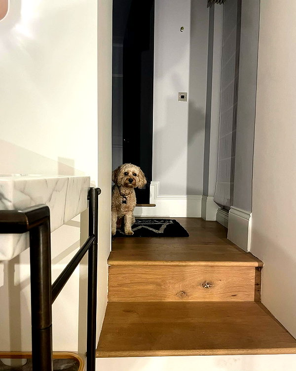 taesroy instagram image archive image