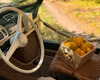 taesroy Altpins Profile Picture