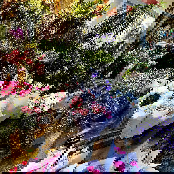 tair_alon tair_alon archive image