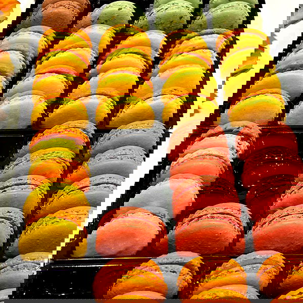 tair_alon tair_alon archive image