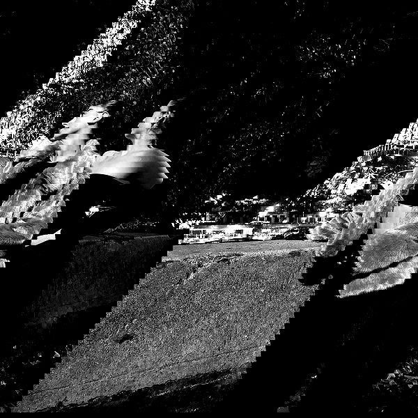 tair_alon tair_alon archive image