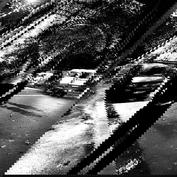 tair_alon tair_alon archive image