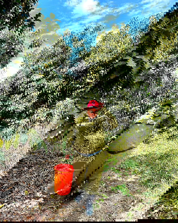 tair_alon tair_alon archive image