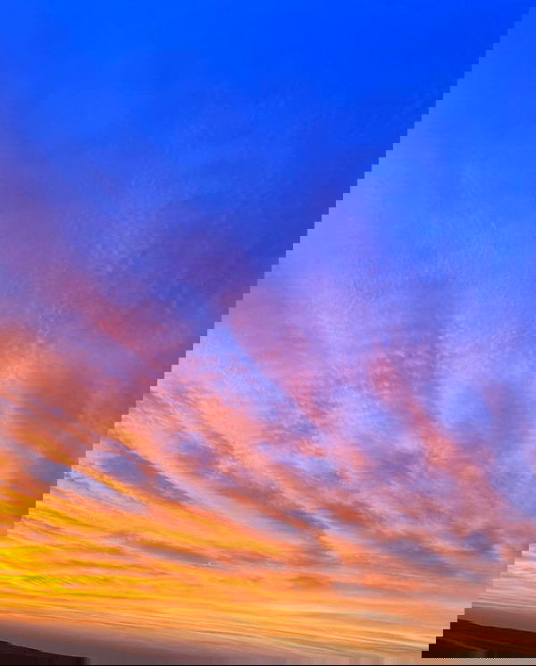 tair_alon tair_alon archive image