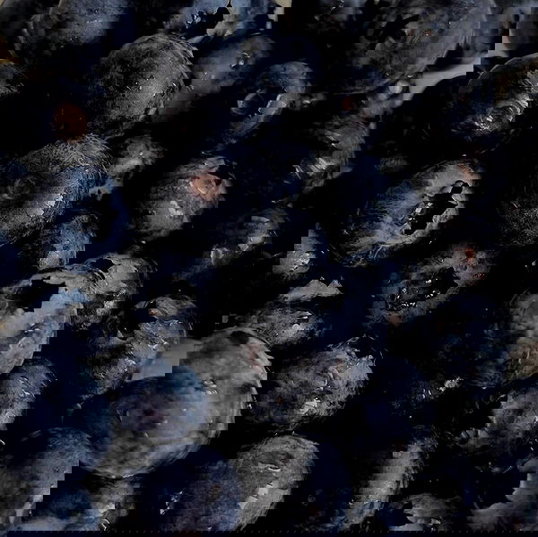 tair_alon tair_alon archive image