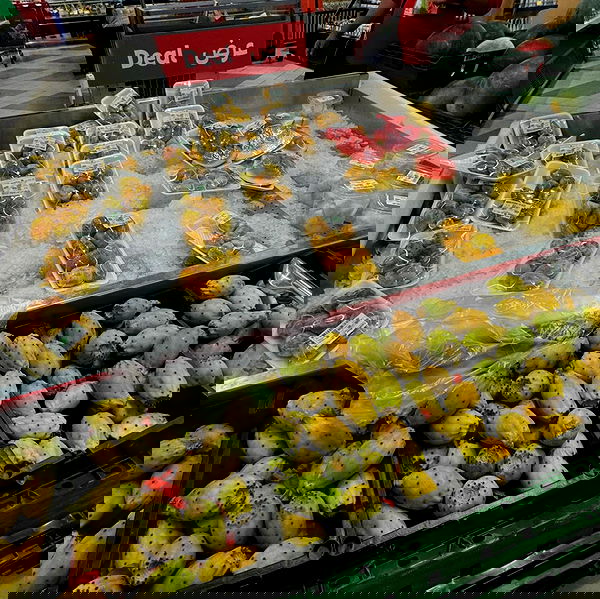 tair_alon tair_alon archive image