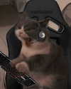 taliah.wilson Altpins Profile Picture