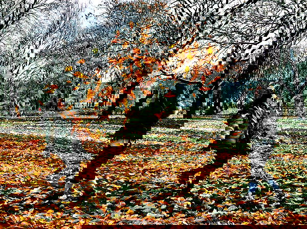 talweisswasser image ~ Altpins