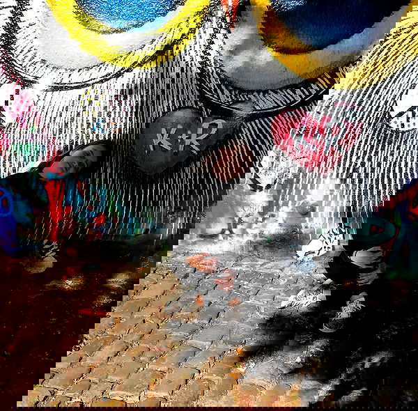 talweisswasser image ~ Altpins