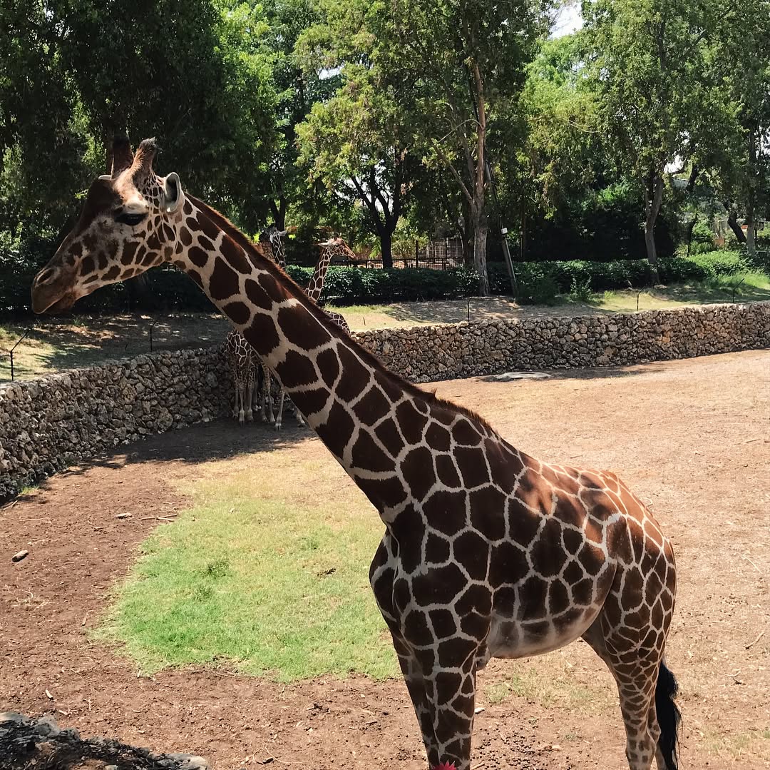 talweisswasser instagram image archive image