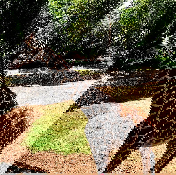 talweisswasser image ~ Altpins