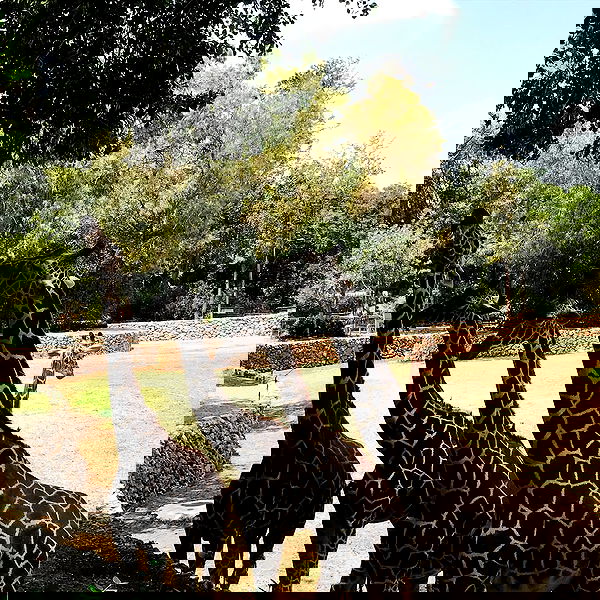 talweisswasser image ~ Altpins