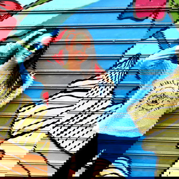 talweisswasser image ~ Altpins