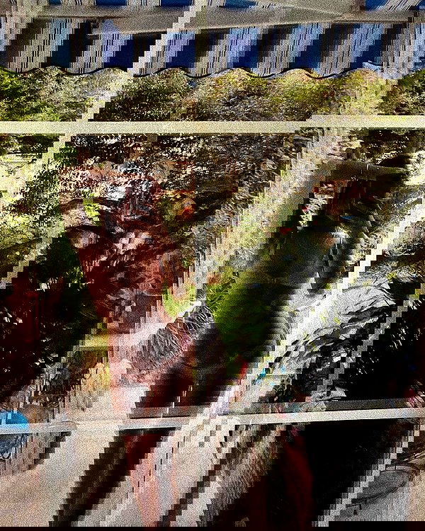 talweisswasser image ~ Altpins