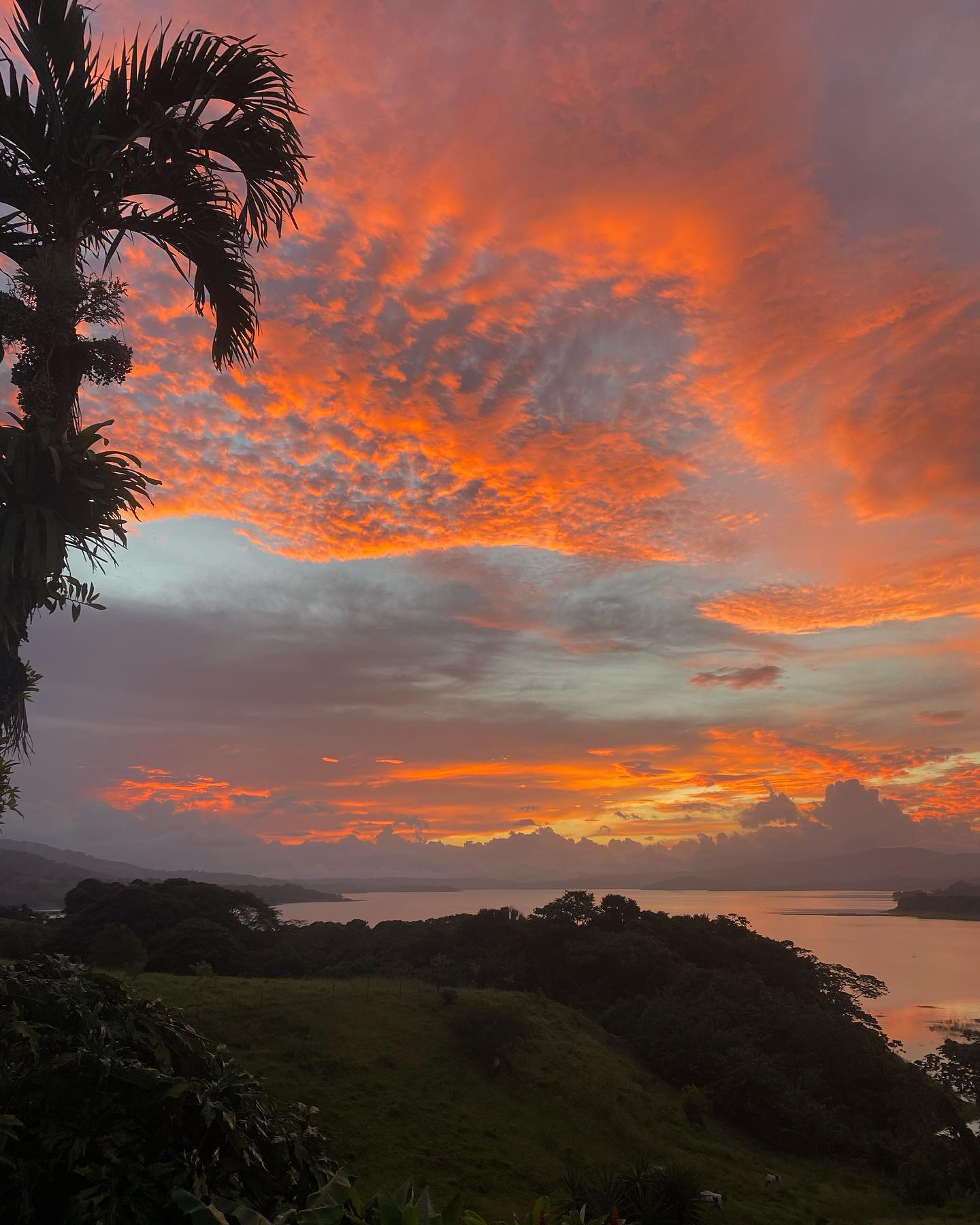 talweisswasser instagram image archive image