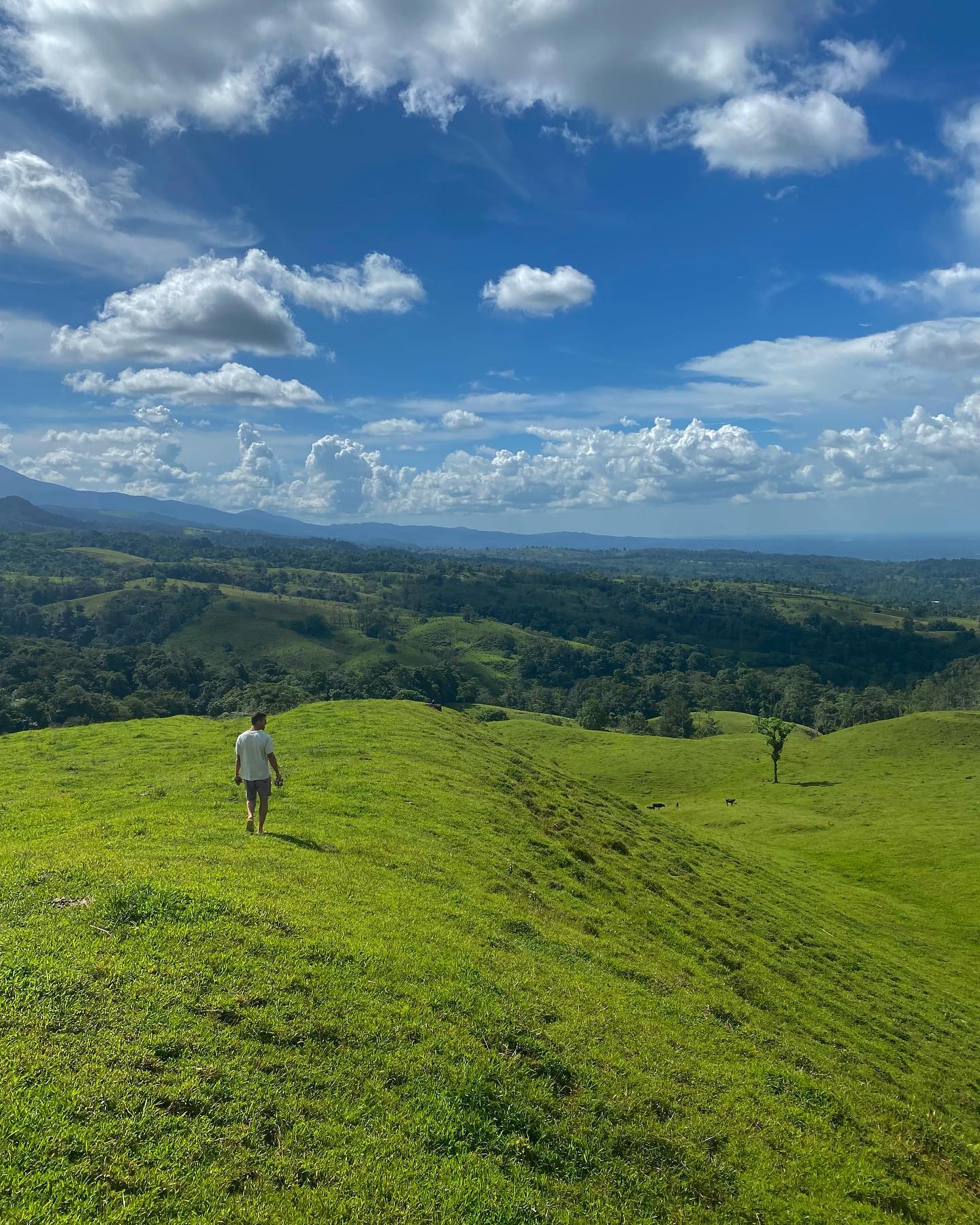 talweisswasser instagram image archive image