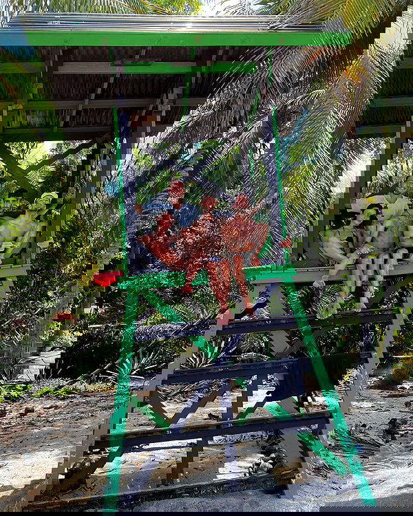 talweisswasser image ~ Altpins