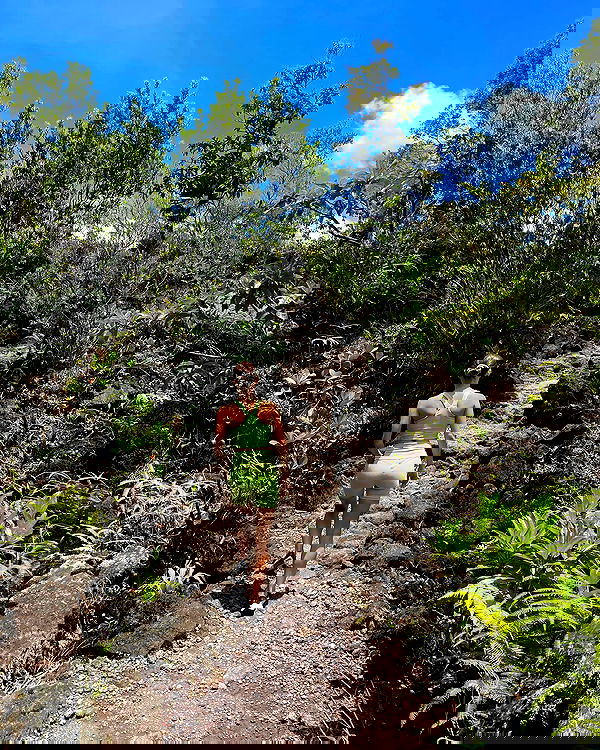 talweisswasser image ~ Altpins