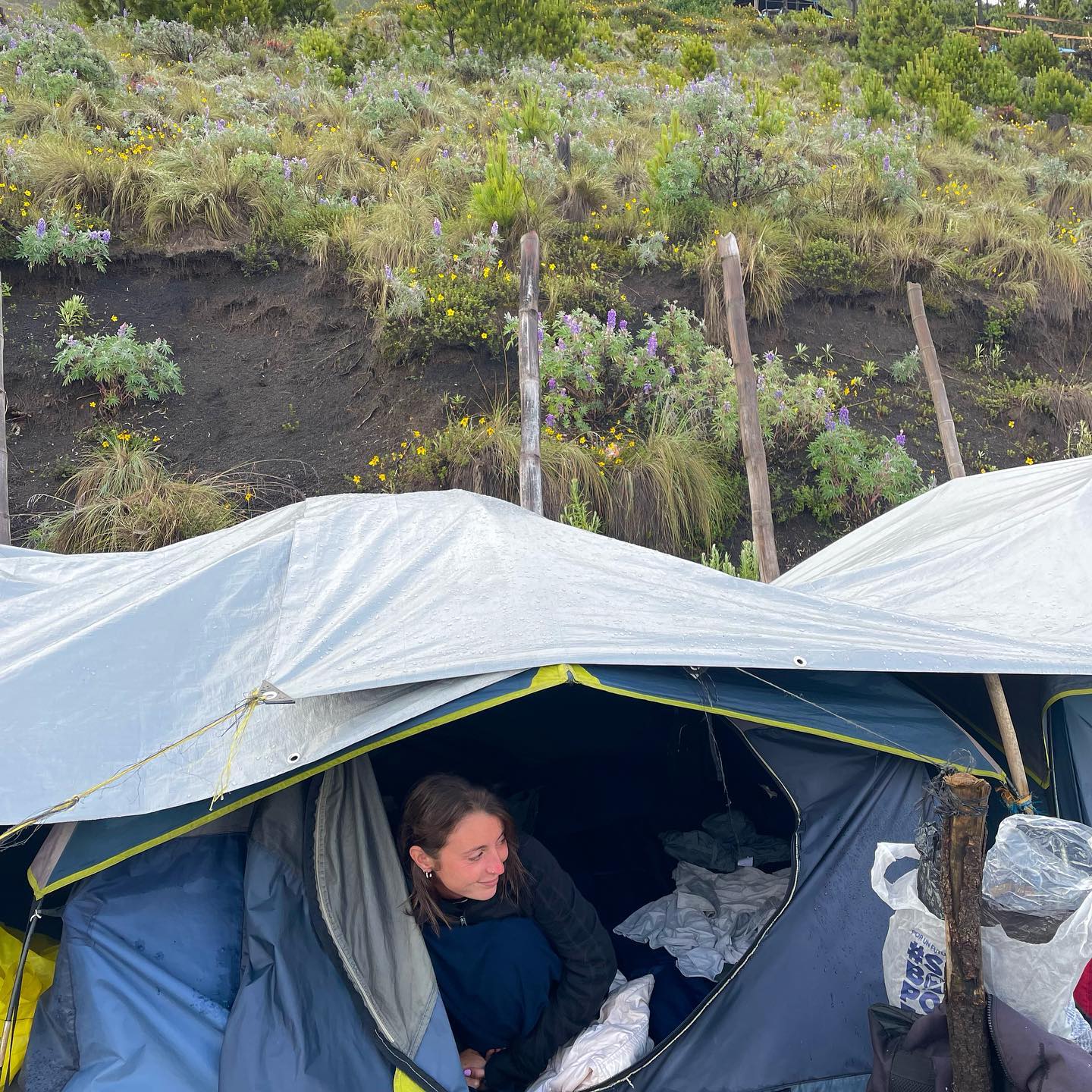 talweisswasser instagram image archive image