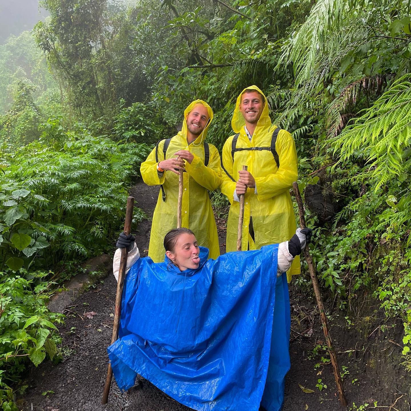 talweisswasser instagram image archive image