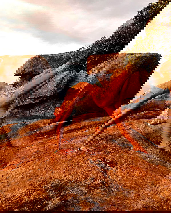 talweisswasser image ~ Altpins