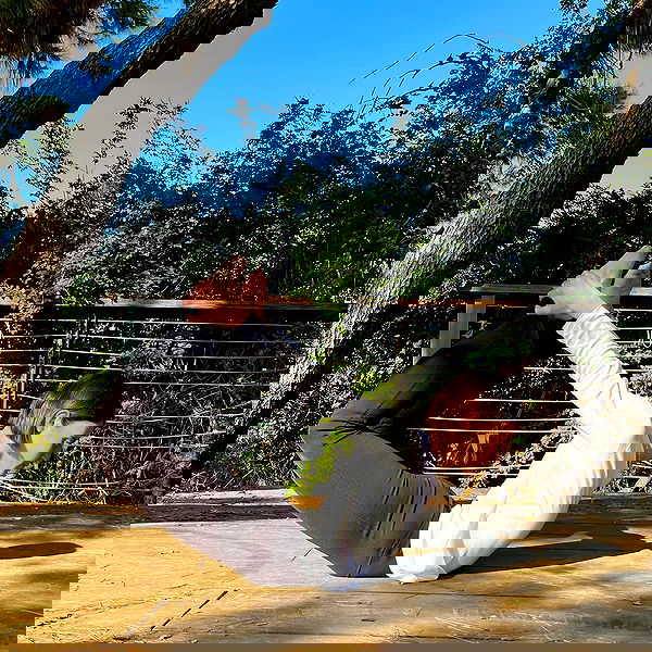 talweisswasser image ~ Altpins