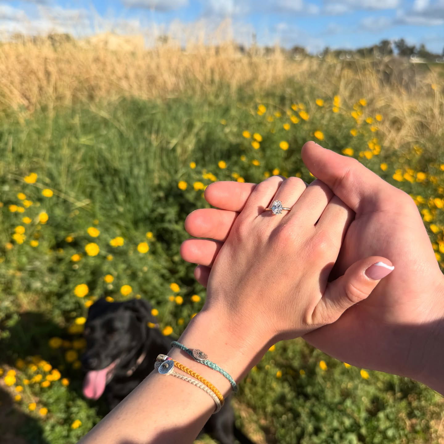 talweisswasser instagram image archive image