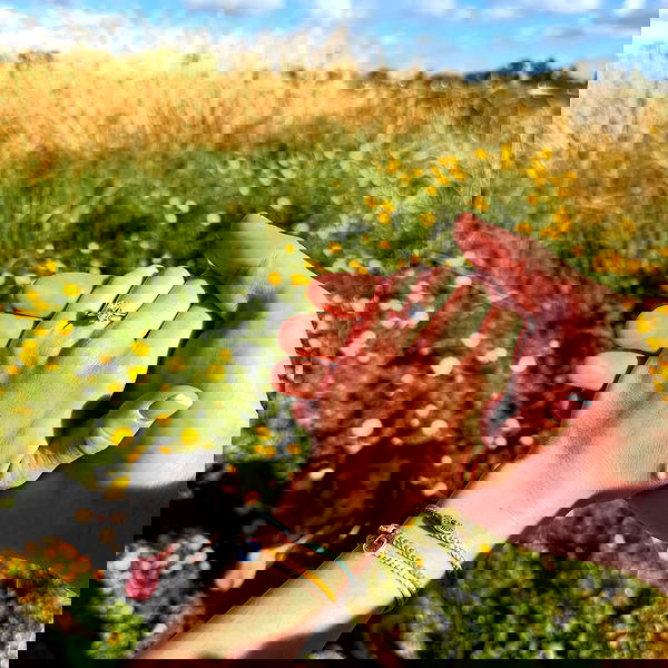 talweisswasser image ~ Altpins