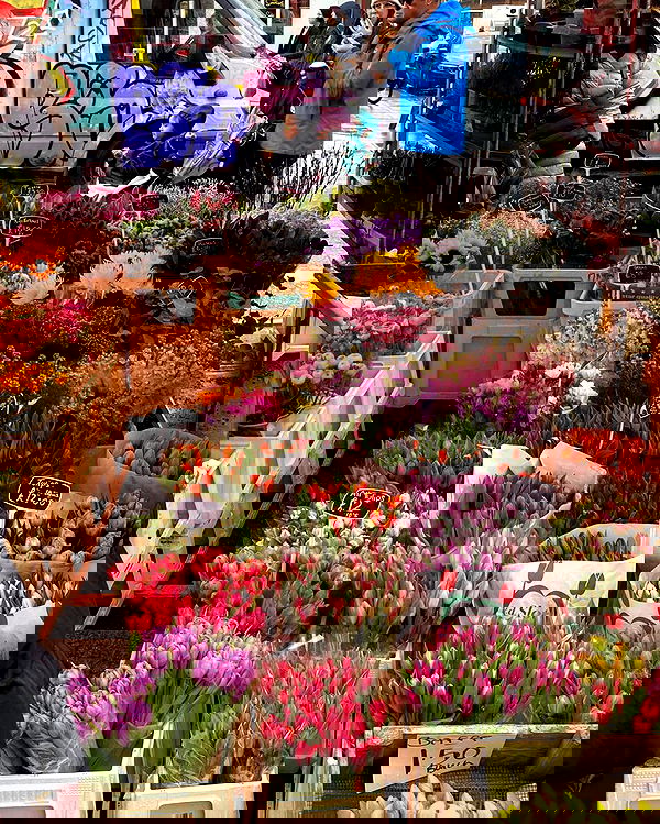 talya__edri talya__edri archive image