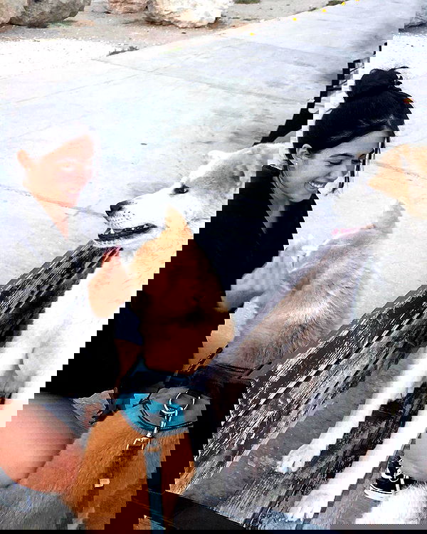 talya__edri talya__edri archive image