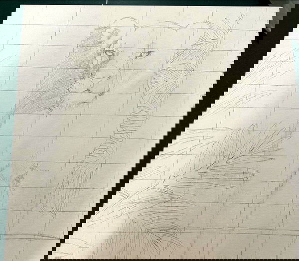 talya__edri talya__edri archive image