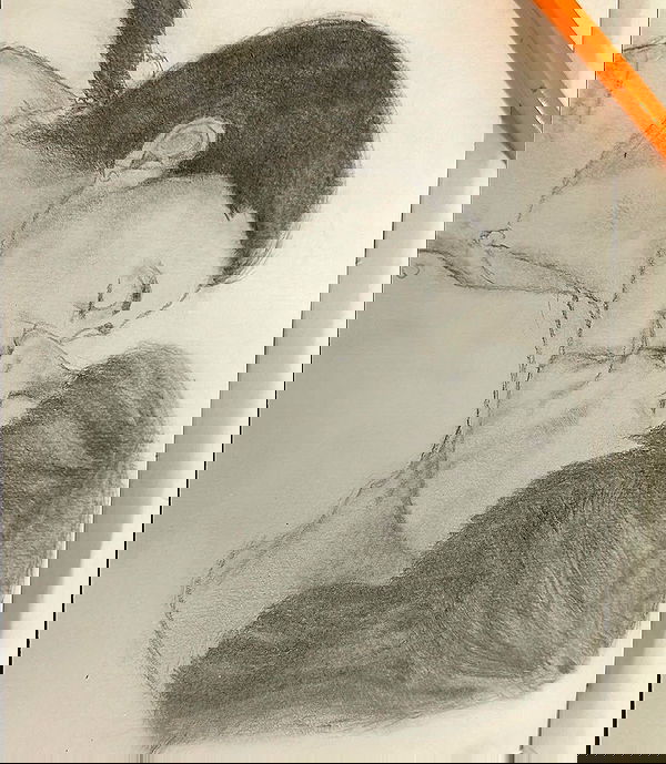 talya__edri talya__edri archive image