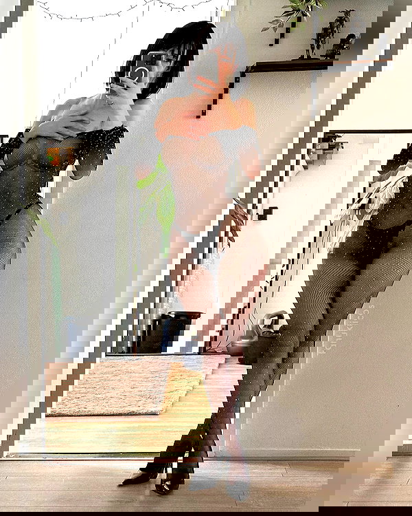 tanukiicos tanukiicos archive image