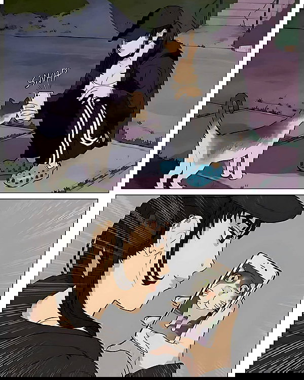 tanukiicos tanukiicos archive image