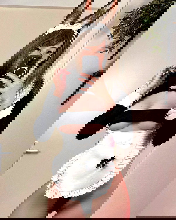 tanukiicos tanukiicos archive image