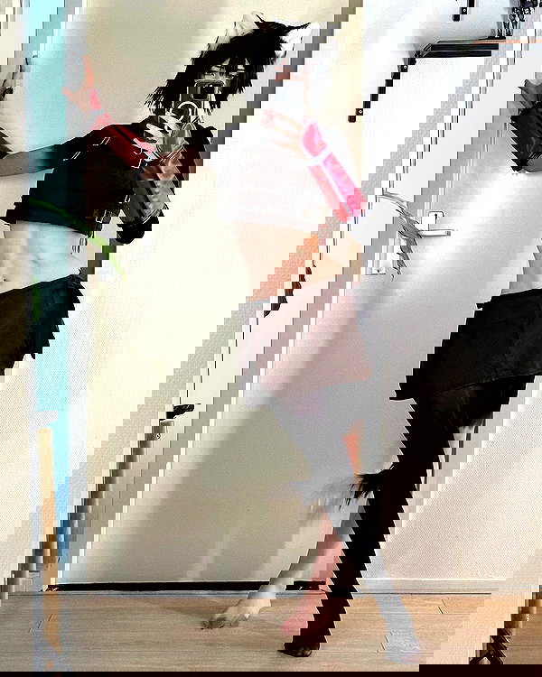 tanukiicos tanukiicos archive image