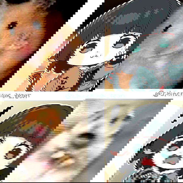 tanukiicos tanukiicos archive image