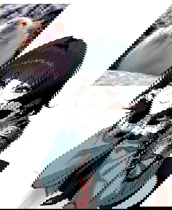 tanukiicos tanukiicos archive image