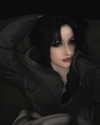 tarantvlagrll Altpins Profile Picture